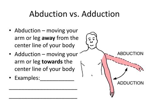 examples of adduction.